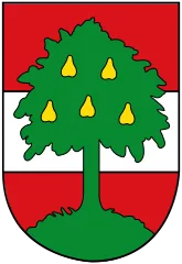 Über das Dornbirn Wappen